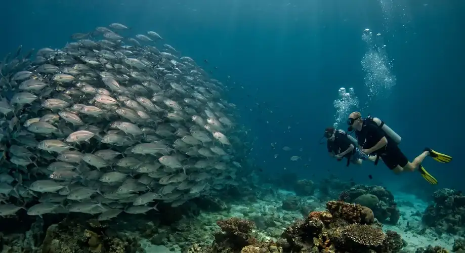 Divers observing the wall at Sipadan Island Bihing Angan Water Chalet